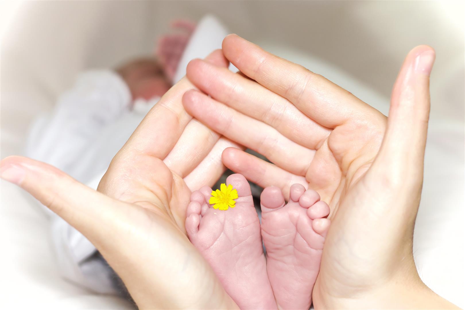 A child's feet clasp in parents hands